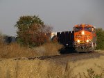 BNSF 6877